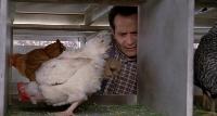 Click to watch 'Mr. Monk Visits a Farm' (popup) Monk